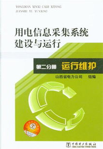 《運行維護 用電信息采集系統(tǒng)建設(shè)與運行 第二分冊 信息系統(tǒng)運行維護服務(wù)》解析